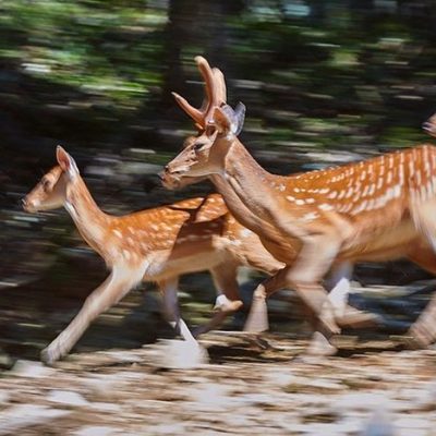 덕유농장 인스타그램