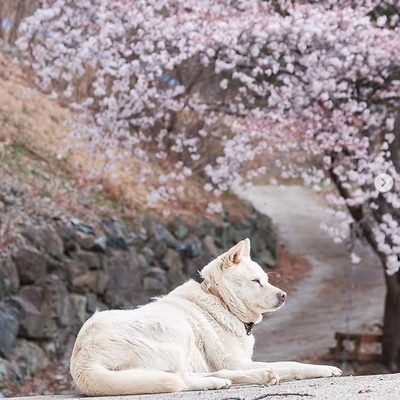 덕유농장 인스타그램