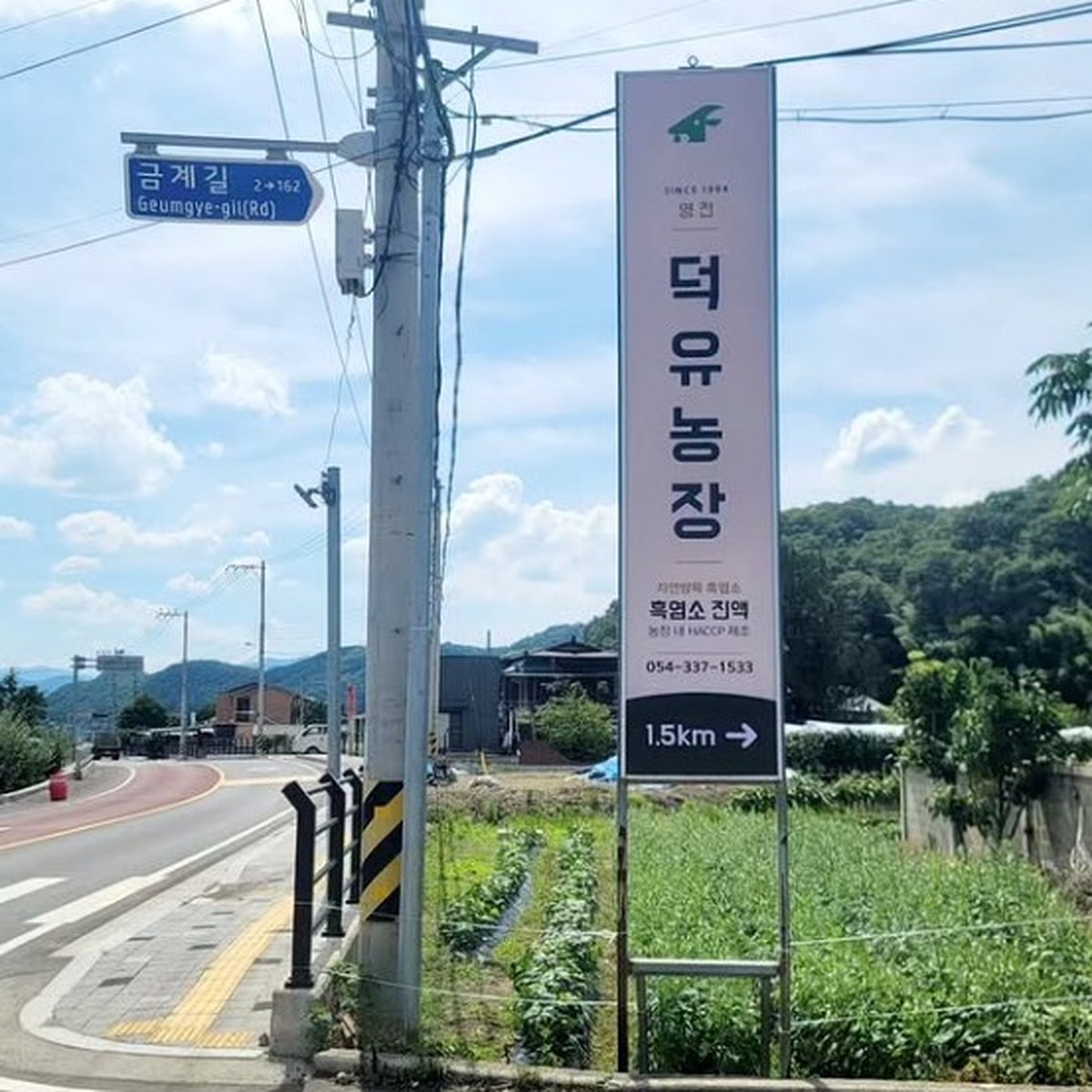 덕유농장 5만평 방목장 위성지도