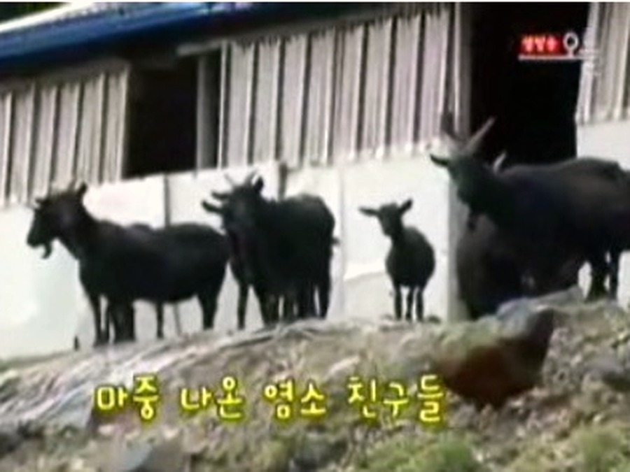 방송 출연자료1