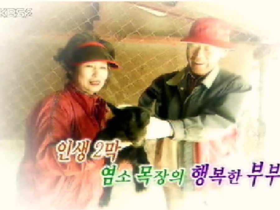 방송 출연자료2